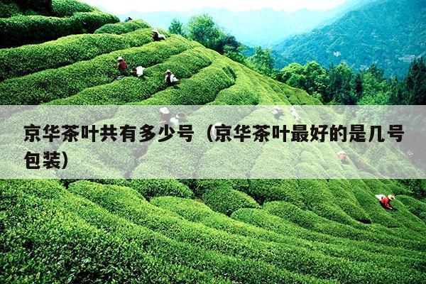 京华茶叶共有多少号（京华茶叶最好的是几号包装）