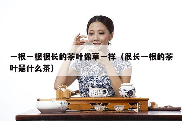 一根一根很长的茶叶像草一样（很长一根的茶叶是什么茶）