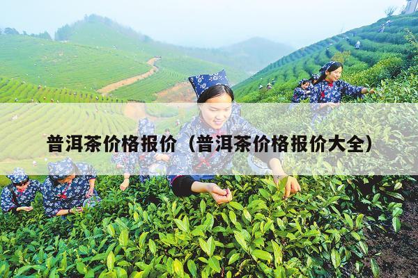 普洱茶价格报价（普洱茶价格报价大全）