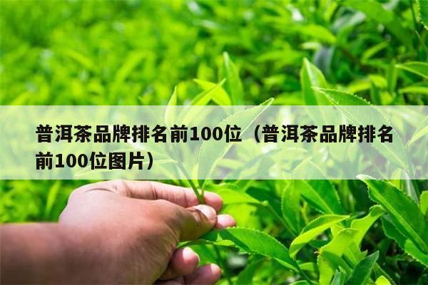 普洱茶品牌排名前100位（普洱茶品牌排名前100位图片）