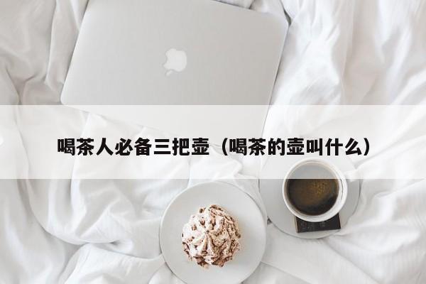 喝茶人必备三把壶（喝茶的壶叫什么）