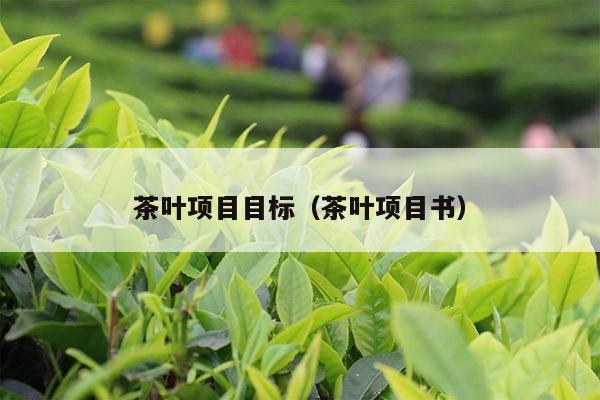 茶叶项目目标（茶叶项目书）