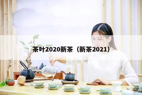 茶叶2020新茶（新茶2021）