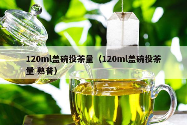 120ml盖碗投茶量（120ml盖碗投茶量 熟普）