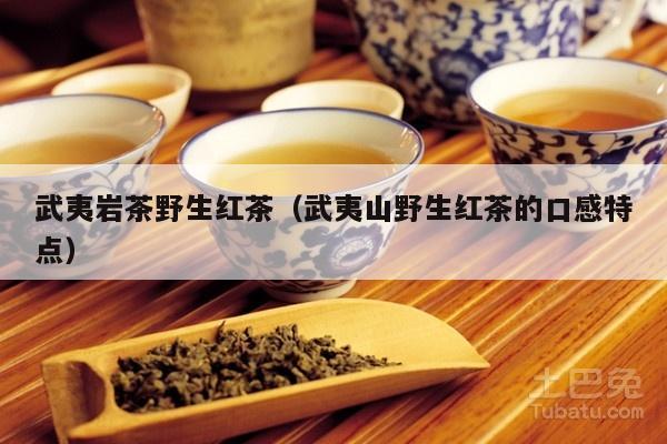 武夷岩茶野生红茶（武夷山野生红茶的口感特点）