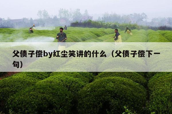 父债子偿by红尘笑讲的什么（父债子偿下一句）