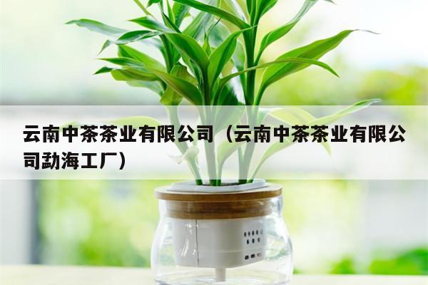 云南中茶茶业有限公司（云南中茶茶业有限公司勐海工厂）