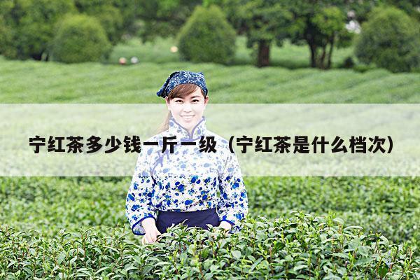 宁红茶多少钱一斤一级（宁红茶是什么档次）