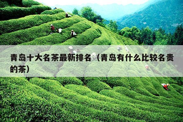 青岛十大名茶最新排名（青岛有什么比较名贵的茶）