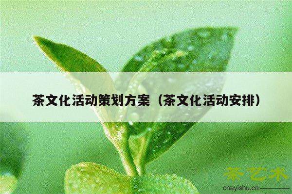 茶文化活动策划方案（茶文化活动安排）