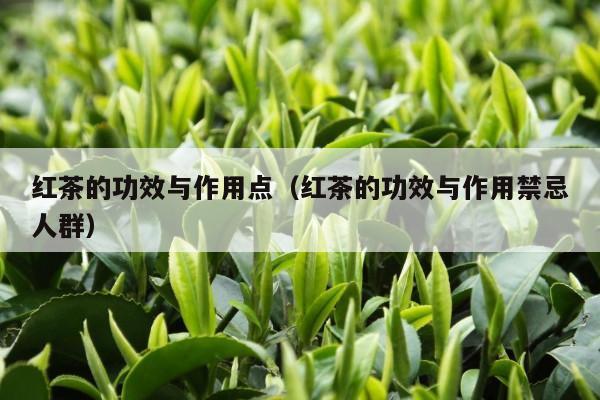 红茶的功效与作用点（红茶的功效与作用禁忌人群）