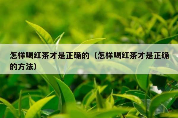 怎样喝红茶才是正确的（怎样喝红茶才是正确的方法）