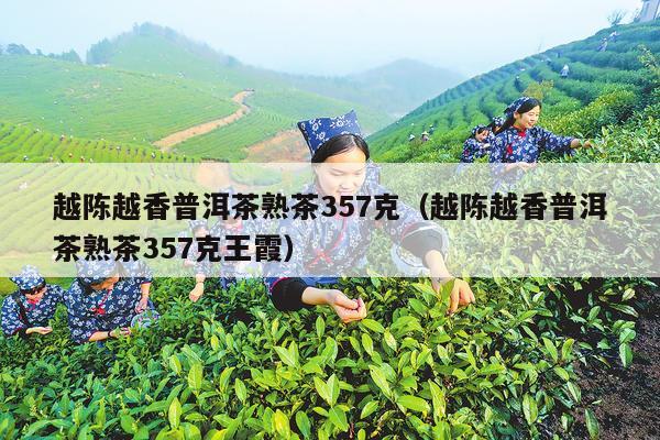 越陈越香普洱茶熟茶357克（越陈越香普洱茶熟茶357克王霞）