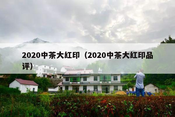 2020中茶大红印（2020中茶大红印品评）