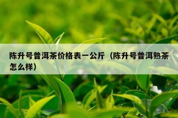 陈升号普洱茶价格表一公斤（陈升号普洱熟茶怎么样）