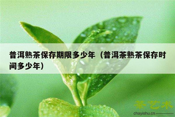 普洱熟茶保存期限多少年（普洱茶熟茶保存时间多少年）