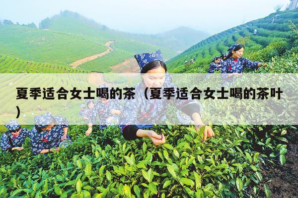 夏季适合女士喝的茶（夏季适合女士喝的茶叶）