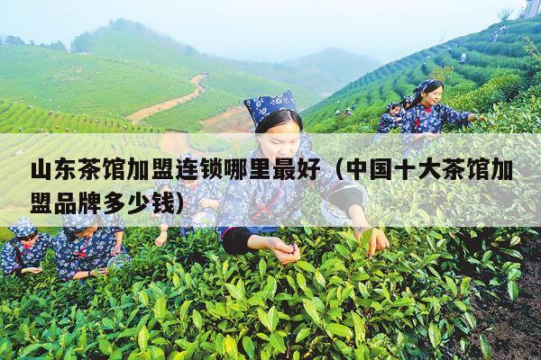 山东茶馆加盟连锁哪里最好（中国十大茶馆加盟品牌多少钱）