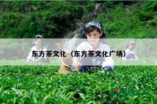 东方茶文化（东方茶文化广场）