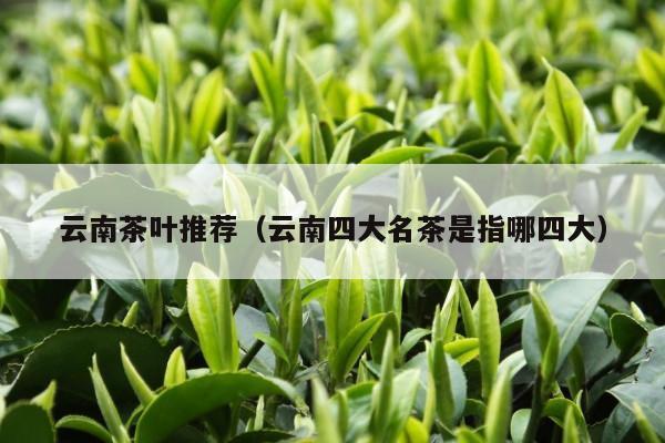 云南茶叶推荐（云南四大名茶是指哪四大）