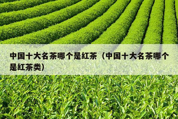 中国十大名茶哪个是红茶（中国十大名茶哪个是红茶类）