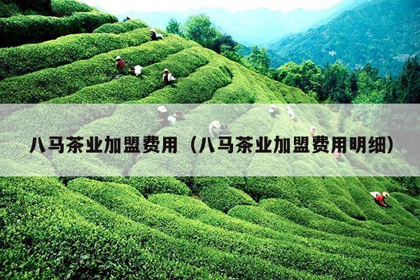 八马茶业加盟费用（八马茶业加盟费用明细）