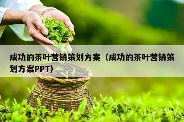 成功的茶叶营销策划方案（成功的茶叶营销策划方案PPT）