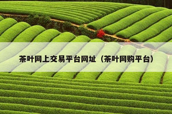 茶叶网上交易平台网址（茶叶网购平台）