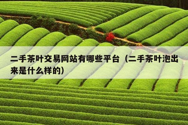 二手茶叶交易网站有哪些平台（二手茶叶泡出来是什么样的）