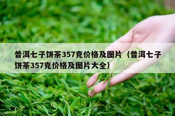 普洱七子饼茶357克价格及图片（普洱七子饼茶357克价格及图片大全）