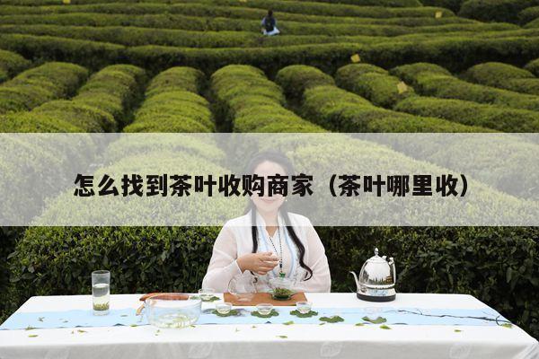 怎么找到茶叶收购商家（茶叶哪里收）