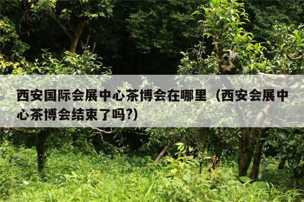 西安国际会展中心茶博会在哪里（西安会展中心茶博会结束了吗?）