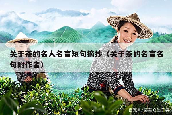 关于茶的名人名言短句摘抄（关于茶的名言名句附作者）