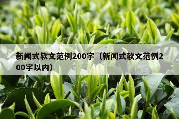 新闻式软文范例200字（新闻式软文范例200字以内）