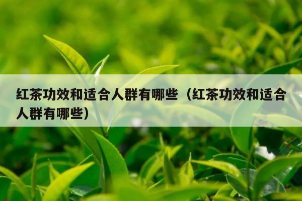 红茶功效和适合人群有哪些（红茶功效和适合人群有哪些）