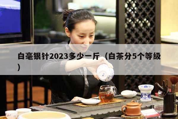 白毫银针2023多少一斤（白茶分5个等级）