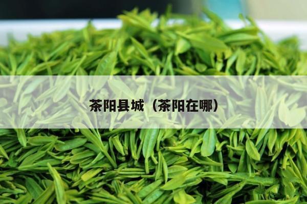 茶阳县城（茶阳在哪）