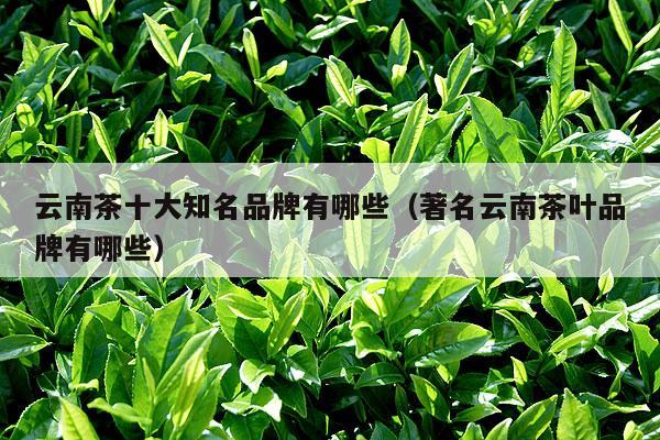 云南茶十大知名品牌有哪些（著名云南茶叶品牌有哪些）