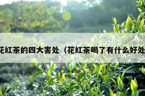 花红茶的四大害处（花红茶喝了有什么好处）