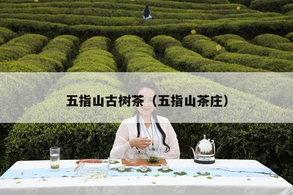 五指山古树茶（五指山茶庄）