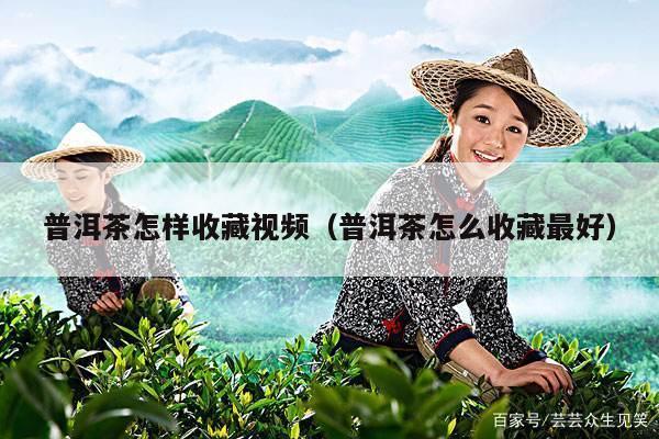 普洱茶怎样收藏视频（普洱茶怎么收藏最好）