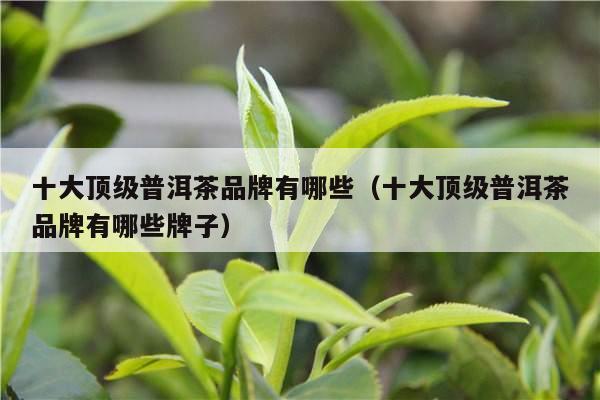 十大顶级普洱茶品牌有哪些（十大顶级普洱茶品牌有哪些牌子）