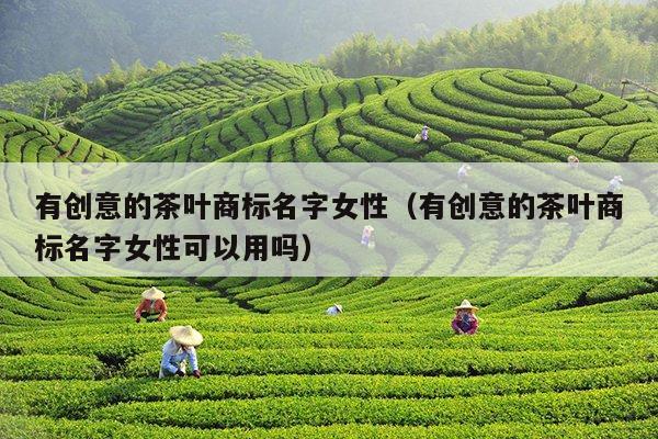 有创意的茶叶商标名字女性（有创意的茶叶商标名字女性可以用吗）