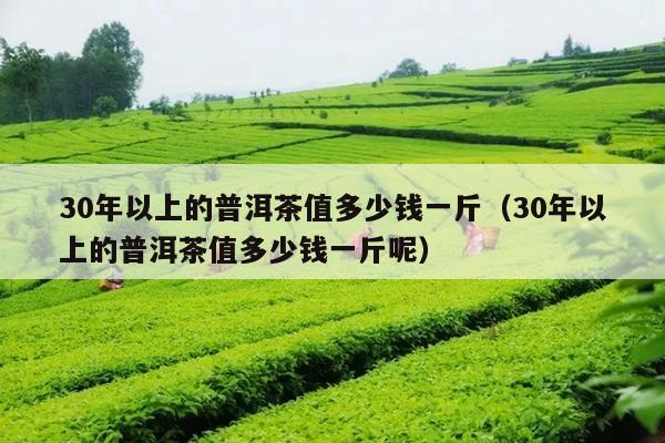 30年以上的普洱茶值多少钱一斤（30年以上的普洱茶值多少钱一斤呢）