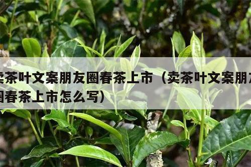 卖茶叶文案朋友圈春茶上市（卖茶叶文案朋友圈春茶上市怎么写）