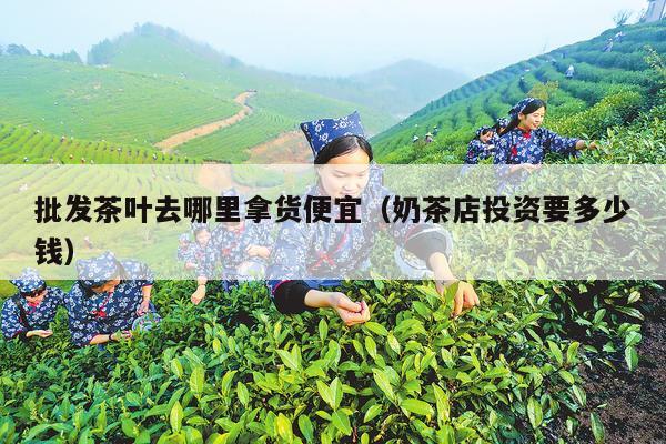 批发茶叶去哪里拿货便宜（奶茶店投资要多少钱）