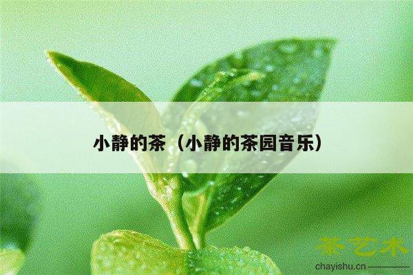 小静的茶（小静的茶园音乐）