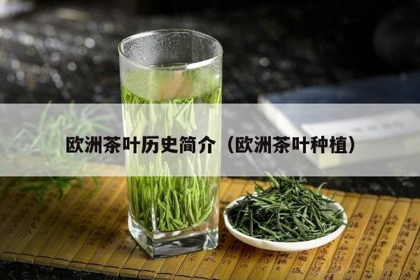 欧洲茶叶历史简介（欧洲茶叶种植）