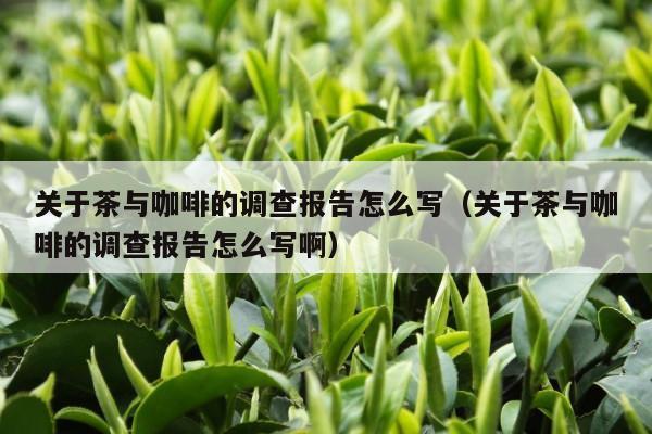 关于茶与咖啡的调查报告怎么写（关于茶与咖啡的调查报告怎么写啊）