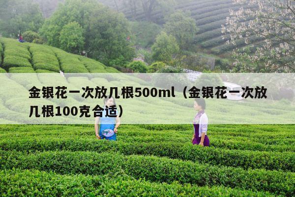 金银花一次放几根500ml（金银花一次放几根100克合适）